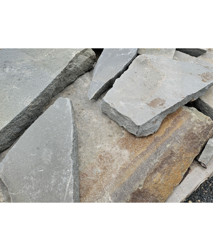 NY BLUE FULL COLOR STEPPERS