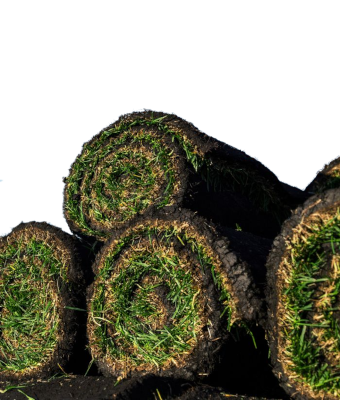 10 SQ.FT. ROLL OF SOD 24"X60"