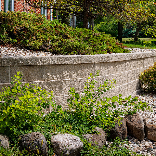 ANCHOR XL CAP DESERT TAN