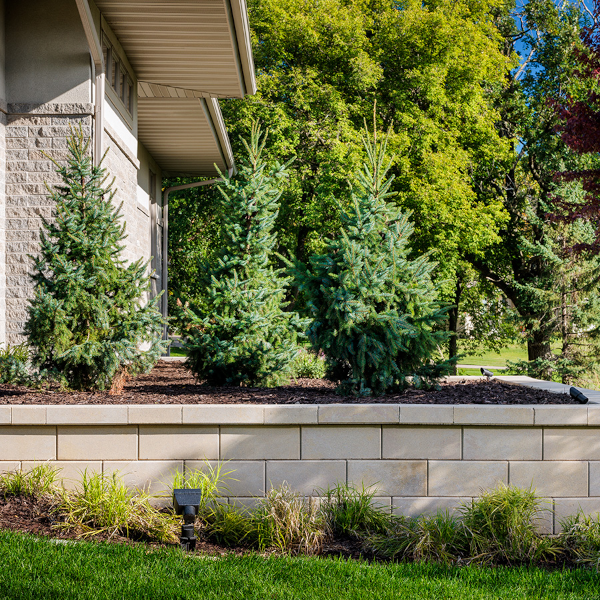 DIAMOND PRO SMOOTH CAP MOONLIGHT