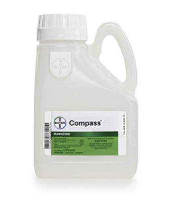 COMPASS WDG 1LB.