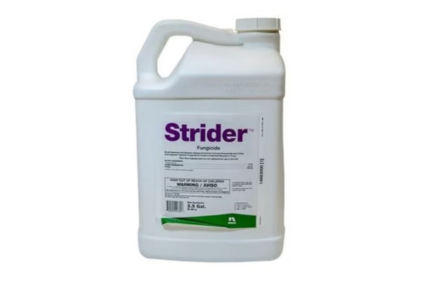 STRIDER PROPICON 14.3 2.5GAL