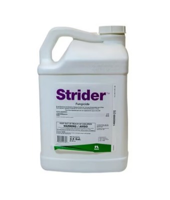 STRIDER PROPICON 14.3 2.5GAL