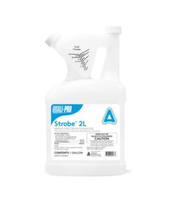 QP STROBE 2L 1GAL