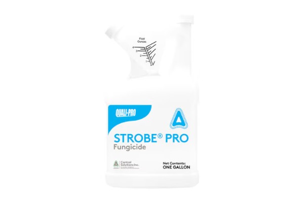 QP STROBE PRO SC 1GAL