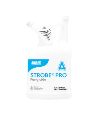 QP STROBE PRO SC 1GAL