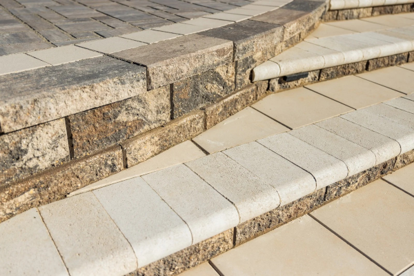 TRIBUTE CORNER VISION