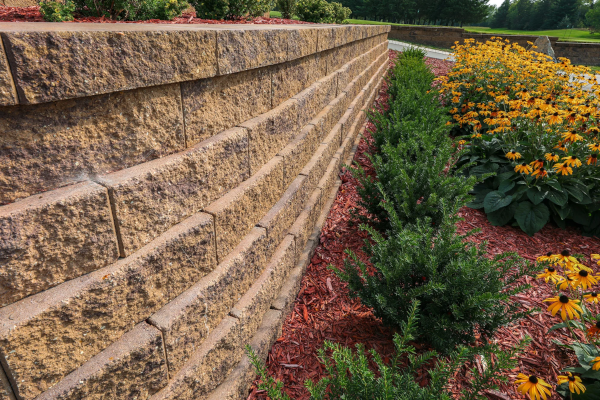 WINSTON STRGHT WALL OCTOBER OAK