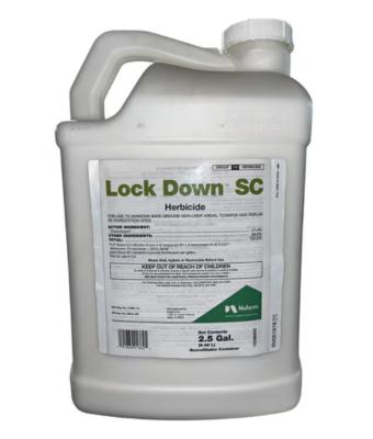 LOCKDOWN SC 2.5GAL