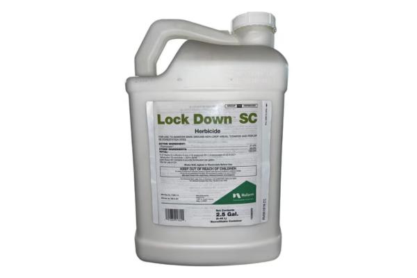 LOCKDOWN SC 2.5GAL