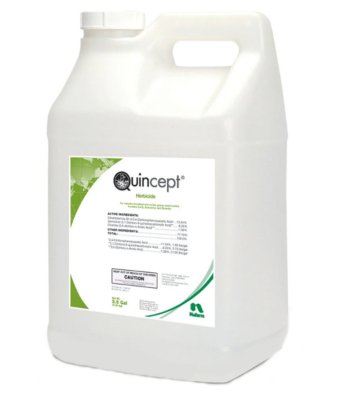 QUINCEPT 2.5GAL