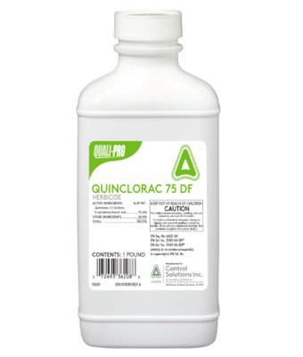 QP QUINCLORAC 75DF 1LB