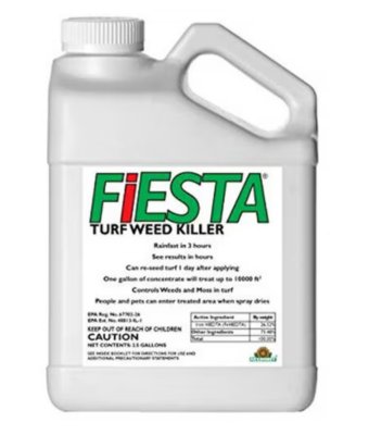 FIESTA 2.5GAL