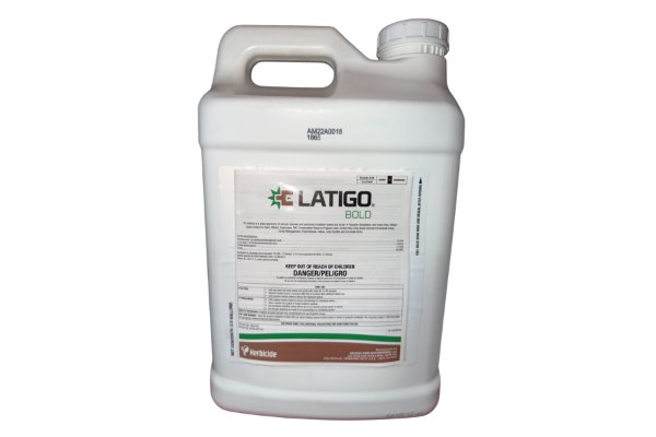 LATIGO BOLD 2.5GAL