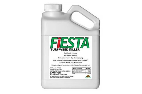 FIESTA 2.5GAL