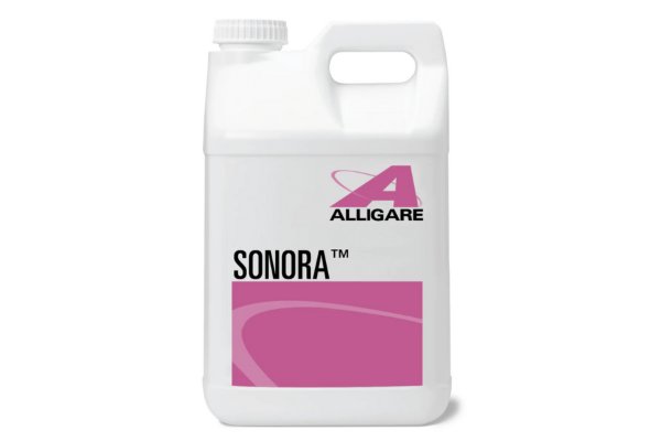 ALLIGARE SONORA 1GAL