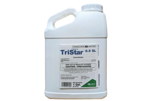 TRISTAR 8.5SL 1 GAL