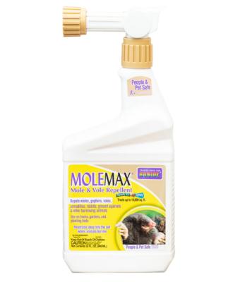B MOLEMAX RTS QT