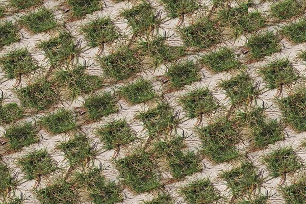 PERMEABLE GRASS PAVER 16x16 GRAY