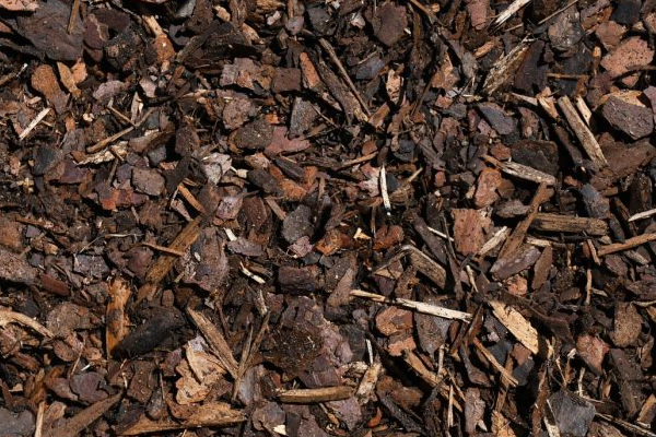 MINI PINE BARK MULCH