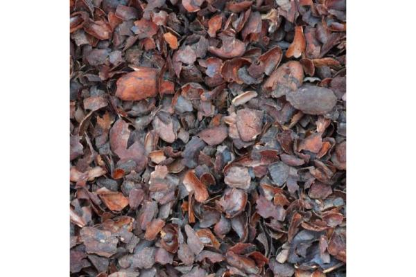 COCOA BEAN MULCH