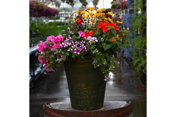 TUB13" MINI AWESOME COMBO