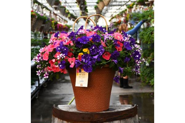 TUB12" HELIX COMBO-HONEY BUNNY