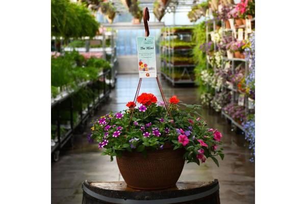 HB13" MINI AWESOME COMBO