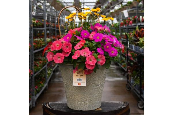 TUB12" HELIX COMBO-COLOR WHEEL