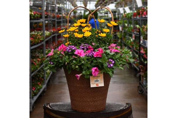 TUB12" HELIX COMBO-PINK LEMONADE