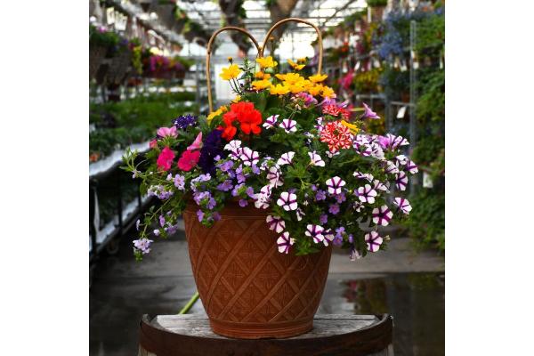 TUB16" AWESOME COMBO