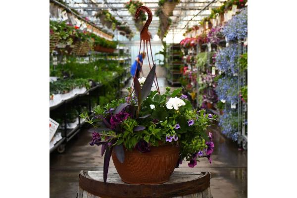 HB18" AWESOME BLIZZARD COMBO JUMBO