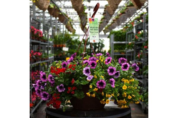 HB13" DESIGNER COMBO-NIGHT ON THE TOWN