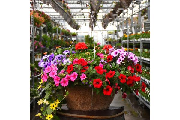 HB18" AWESOME COMBO JUMBO