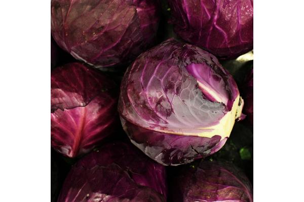 E606T/36 CABBAGE EARLY RED ACE