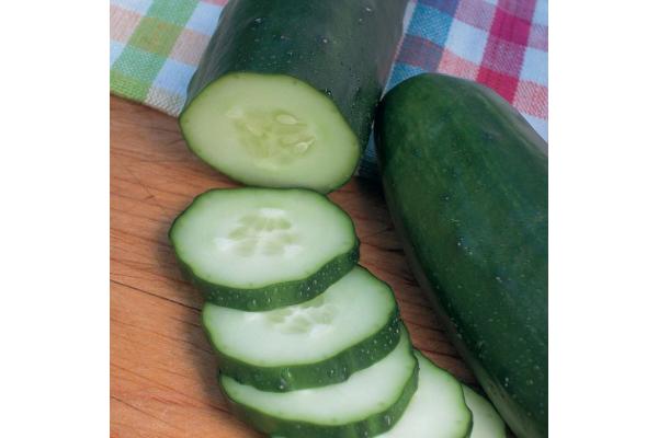 E4.75T/10 CUCUMBER BURPLESS