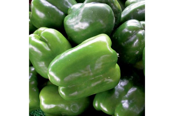 E4.75T/10 PEPPER GREEN BELL