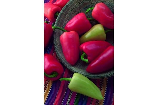 E4.75T/10 PEPPER MARIACHI