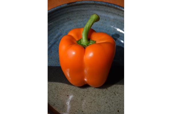 E4.75T/10 PEPPER ORANGE BELL