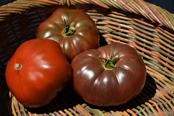 E4.75T/10 TOMATO HEIRLOOM CHEROKEE PURPLE