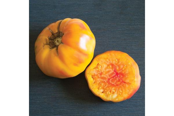 E4.75T/10 TOMATO HEIRLOOM STRIPED GERMAN
