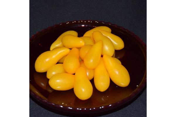 E4.75T/10 TOMATO HEIRLOOM YELLOW PEAR