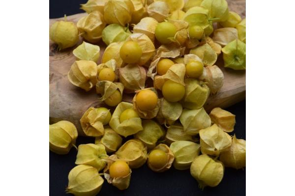 E4.75T/10 GROUND CHERRY