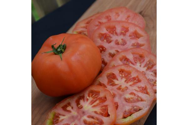 E6.5T/3 TOMATO SUPERSTEAK