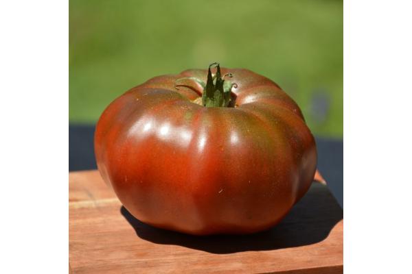 E6.5T/3 TOMATO HEIRLOOM BLACK KRIM