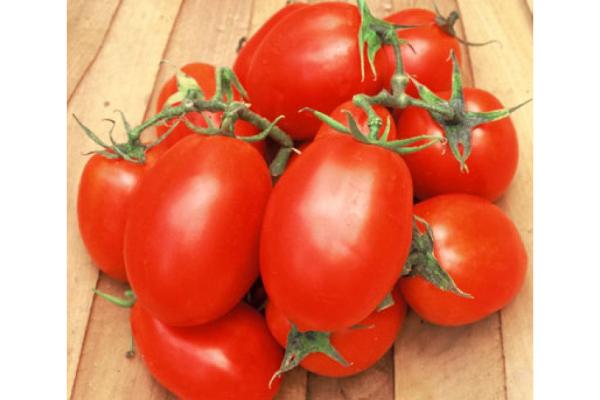 E6.5T/3 TOMATO ROMA