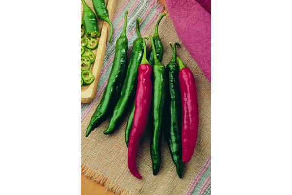 E4.75T/10 PEPPER ITALIAN ROASTER