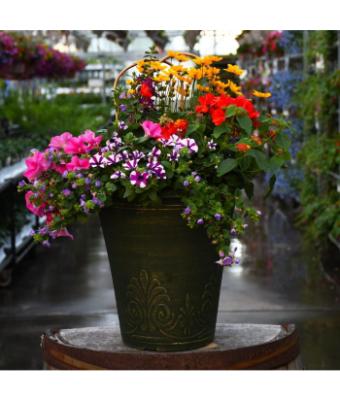 TUB13" MINI AWESOME COMBO