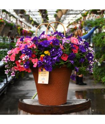 TUB12" HELIX COMBO-HONEY BUNNY