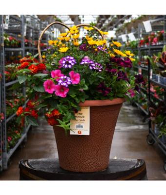 TUB12" HELIX COMBO-THE ROYALE